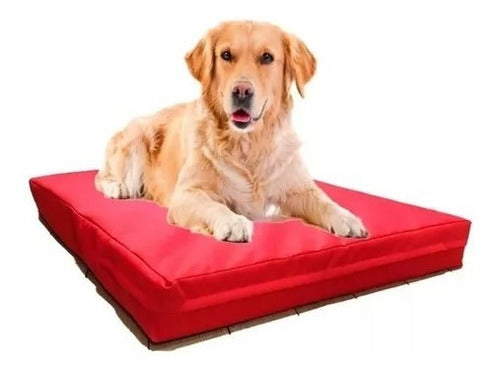 Stars Pet Mattress Pad 8 Cms. 80 X 60. Waterproof 0