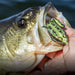 Lunkerhunt Lunker Frog - Freshwater Fishing Lure, Realistic Design, Green Tea 7