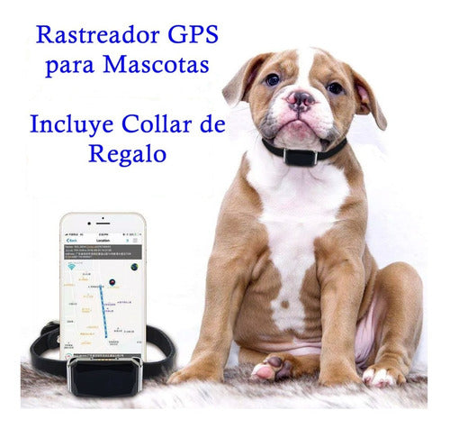 Mini GPS Tracker Locator Pet Collar 5