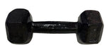 DTS Hexagonal Cast Iron Dumbbell 4kg Gym Fitness Strength 0