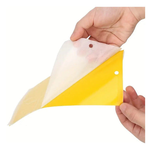 Chromatic Bug Trap Fly Mosquito Adhesive Board 2