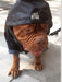 Rafa Style Dog Wear Piloto Impermeable Dogo De Burdeos Hecho A Medida 1