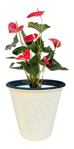 Matri Toscana Bicolor Combo 2 Premium Planters 0