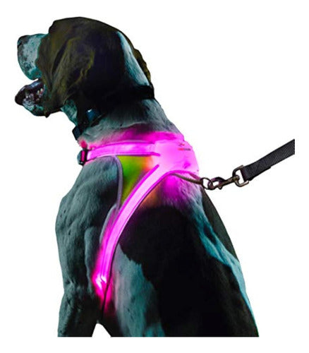 Noxgear Lighthound revolucionario Iluminado Y 0