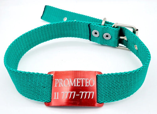 Medallas Para Perros Large Red Passant + Green Collar 3cm 0