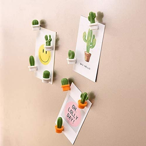 XMKAISITE 3D Small Succulent Cactus Magnets - Set of 12 6