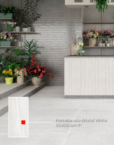 Alberdi Porcelanato 60x120 Bristol White Rect. Alberdi 1ra 1