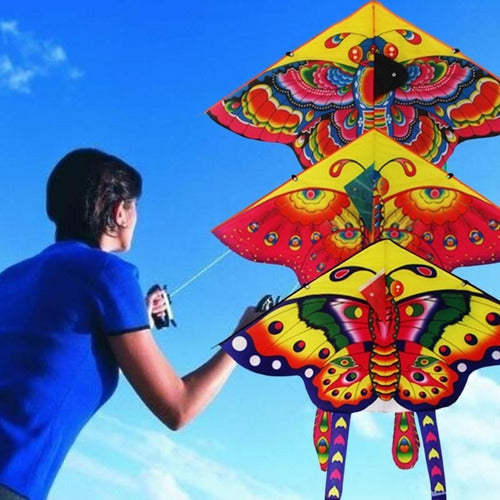 Barrilete Cometa Mariposa Ba186 Didáctico Multicolor Grande 1