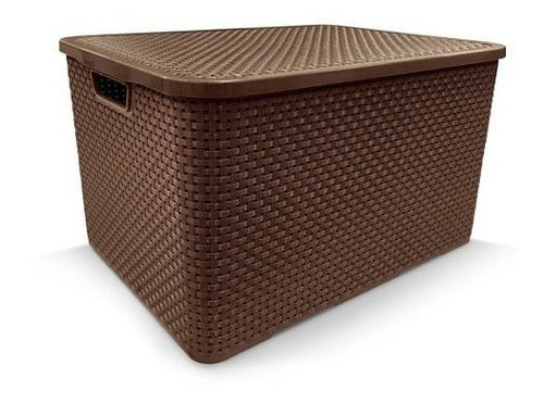 Organizador Rattan C/tapa 7 Lts Marron A25587 0