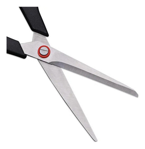 Multi-purpose Scissors 25 cm. Domestic Use for Paper and Cardboard 2
