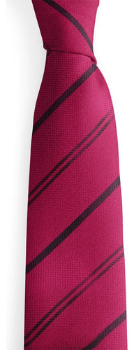 Studio Galanteria & Co Red Jacquard Striped Blue Tie 0