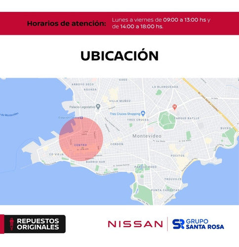 Centro De Llanta Nissan Gris 4