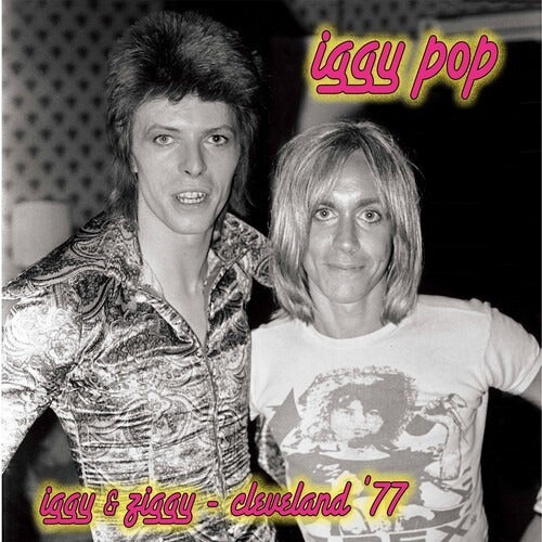 Iggy & Ziggy Cleveland 77 Silver Pink Splatter - Pop Iggy (v 0