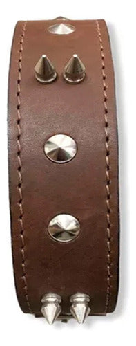 Leather Mastiff Collar with Spikes No. 2 5