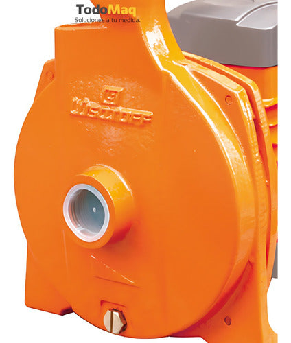 Lusqtoff Water Centrifugal Pump 1 HP with Thermal Protection 2