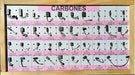 Carbons - Bord Schefer-x2u 1