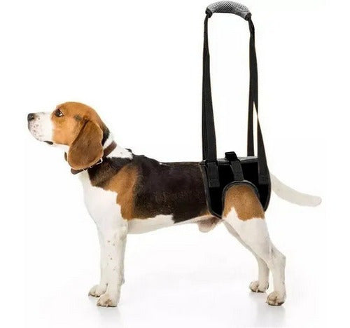 MN Dog Support Harness Sling Help for Legs 0