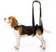 MN Dog Support Harness Sling Help for Legs 0