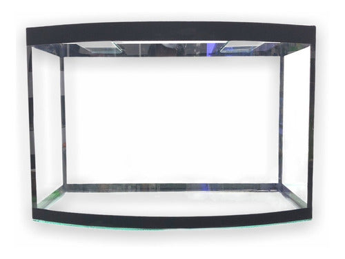 Master Curved Front Glass Aquarium 100x35x20/25 Cm 5mm 4