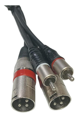 ZG 2 XLR Male to 2 RCA Professional Cable 50cm 0