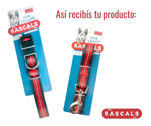 Rascals Medium Reflective Dog Leash and Collar Set 1