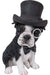 Hi-Line Gift Ltd. Boston Terrier Con Gafas Y Pajarita 0