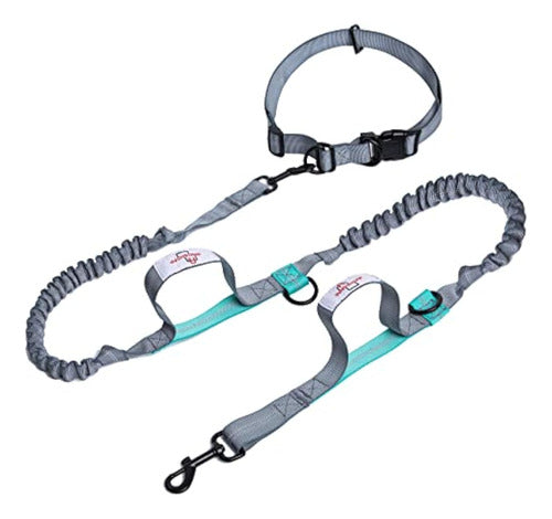 Genérica Hands-Free Dog Leash for Large Dogs 0