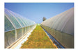 Brasil Nylon Greenhouse Thick 150 Mic - Thermal - 10 X 2.20 Mts 1