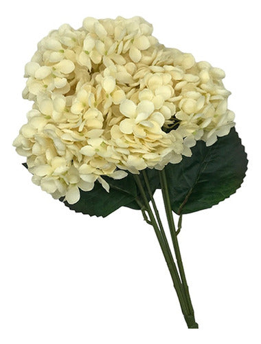 Ramo Mini Hortensia 0