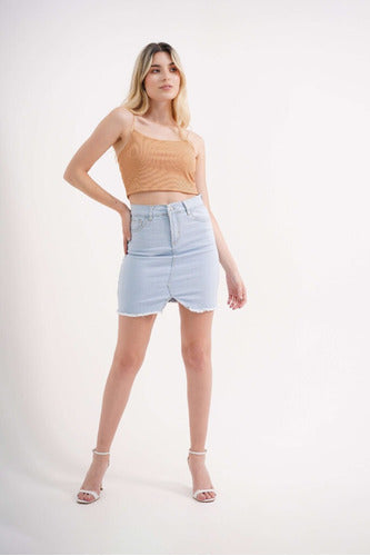 Celeste Denim Skirt Plus Sizes 2