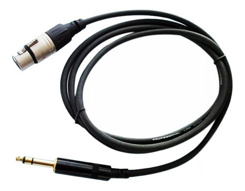 Lexsen XLJ-6F Cable 6.35mm Plug to XLR Female 6m Black 0