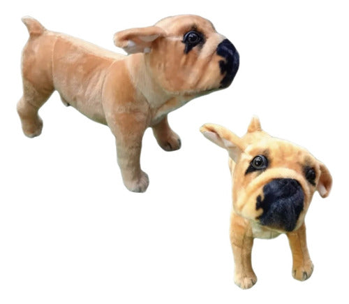 Numi Peluche Perro Bulldog / Realista 0