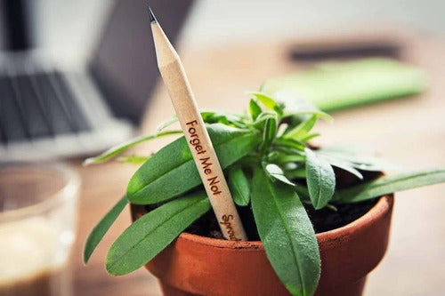 Plantable Unsharpened Pencil with Seed Blister X 30 Units 5