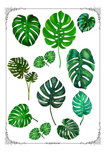 Monstera #06! Lámina Para Transferencias 21 X 29 Fibrofacil 0