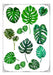 Monstera #06! Lámina Para Transferencias 21 X 29 Fibrofacil 0