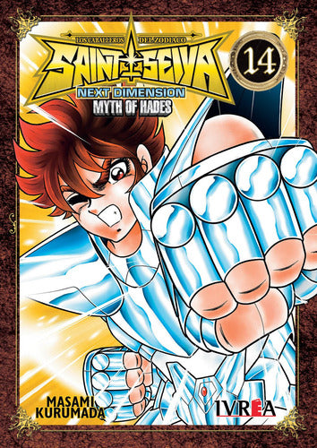 Ivrea - Saint Seiya - Next Dimension - Myth Of Hades #14 0