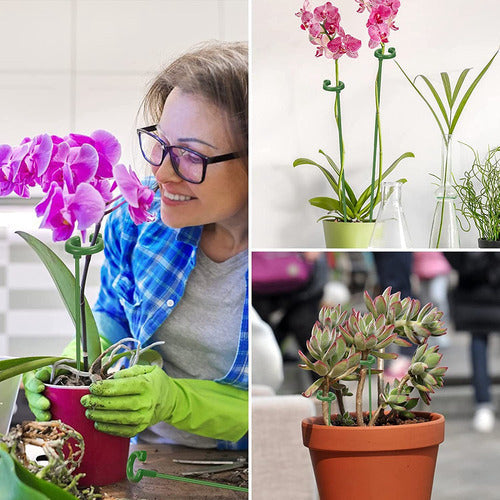 30 Peças De Estacas De Suporte De Plantas, Anéis De Suporte 4