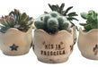 Cactus and Succulents Souvenirs 0