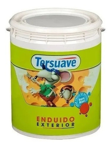 Tersuave Exterior Putty 4 L 0