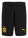 Borussia Dortmund Home Kit Puma 2023/24 - Kids 3