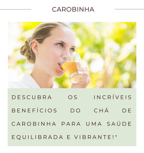 3 Pacotes De Carobinha P Chá | Legítima Jacaranda Caroba 2