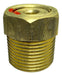 Generic Bronze Safety Relief Valve 3/4 3