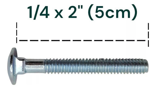 50 Unidades Parafuso Francês 1/4 X 2 - 5cm 1