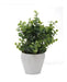 Bazar Sin Frontera Decorative Artificial Plant Pot 10x10x25 Cm 0