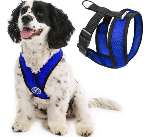 Gooby Comfort X Head-In Harness - Blue, Medium 0