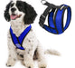 Gooby Comfort X Head-In Harness - Blue, Medium 0