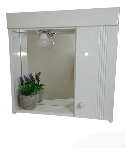 F.I Bathroom Medicine Cabinet with Mirror Door - 50 cm Offer! 0