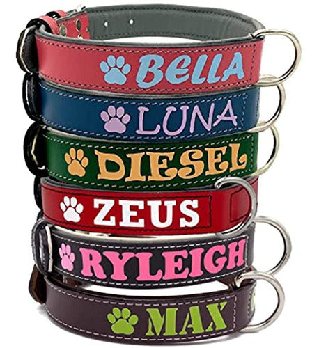 Sier Genuine Leather Padded Personalized Dog Collar S 0