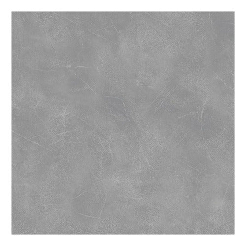 Alberdi Porcelanato Baño Cocina Platino 60x60 1ra 0