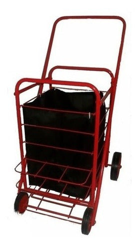 Canadian Style Shopping Cart 4-Wheel Trolley from Argentina 1